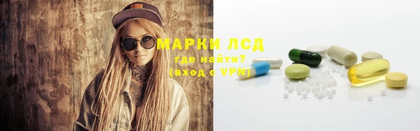 a pvp Алзамай