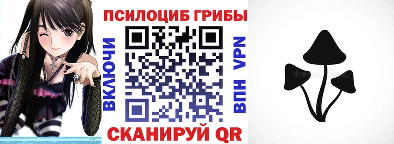 продажа наркотиков  Апрелевка  Псилоцибиновые грибы мицелий 