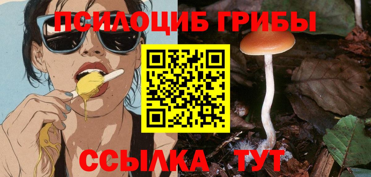 Галлюциногенные грибы MAGIC MUSHROOMS Апрелевка