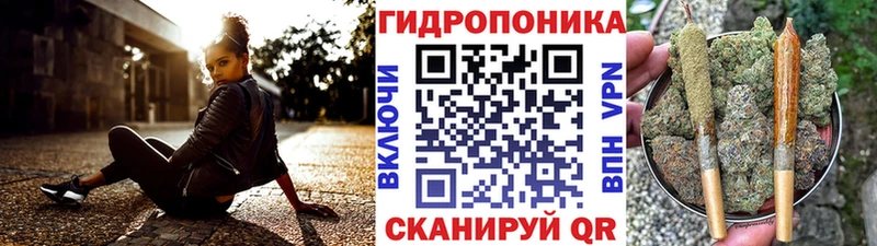блэк спрут онион  Апрелевка  Бошки марихуана сатива 